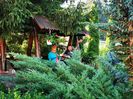 IMG-20210817-WA0018