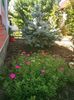 IMG-20210731-WA0004