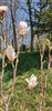 IMG-20210430-WA0018