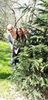 IMG-20210430-WA0008