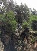 IMG-20210501-WA0032