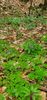 IMG-20210501-WA0018