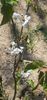 IMG-20210430-WA0010