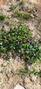 IMG-20210430-WA0022