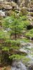 IMG-20210501-WA0006