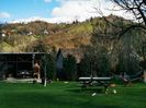 IMG-20210429-WA0004
