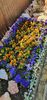 IMG-20210430-WA0019