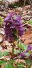 IMG-20210501-WA0015