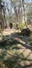 IMG-20210430-WA0012