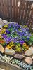 IMG-20210430-WA0023