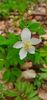 IMG-20210501-WA0017