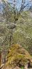 IMG-20210430-WA0009