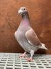 B782DAA0-7FA8-416B-BB39-8CFDD5DAF6D4