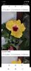 Screenshot_2021-10-22-11-29-41-324_com.facebook.orca