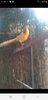 Screenshot_20211013-210212_Facebook