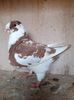 received_4707299685997175