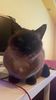 IMG-20211207-WA0014