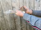 IMG20220206090122