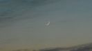....Luna noua in Pesti