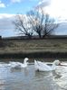 IMG-20220212-WA0003