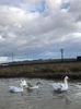 IMG-20220212-WA0004