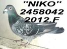 2012.2458042.FNI