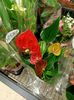 Img.2022.02.14