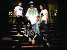 tokiohotel2800x600gy1