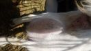 IMG-20220314-WA0000