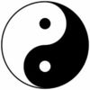♊ Yin Yang