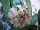 P1510415