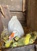 IMG-20220321-WA0021