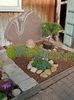 IMG20220325090146