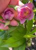 29D68042-4F86-4FCF-8D45-4F15C12BB65A