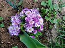 Img.2022.03.25
