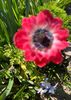 401F5371-AE99-441F-BD57-200D864F7433