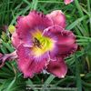 What A Relief done - bloomed