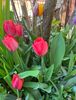 9B8F7390-7135-4DA7-A8D0-7C9271366343