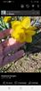 Screenshot_20220411-125356_Facebook