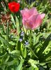 73FD4431-F909-42B2-8C3A-7EE0EF87F20A