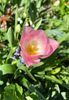 BD7D4A86-6660-4177-936E-3B1435951457