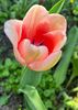 2AD376FA-EBD9-4F98-8D57-DEEB5631800D