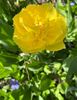 A420455D-2588-4BE6-AD6A-3466CA25641C