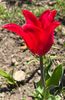 B70C6141-896A-4346-9164-04CF309FB819