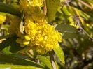 91B6EABB-41FA-42F3-BCA3-41F026649BEE