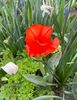 BB694961-BE2C-46DF-8106-F4D3668BE96A