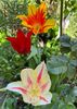 0B112134-1EAA-4393-87D3-3D88DF122EE0
