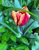 D481C506-06D3-4EA0-97B4-34B5413654AA