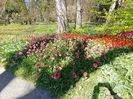Img.2022.04.18