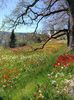 Img.2022.04.18